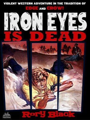 cover image of Iron Eyes 12